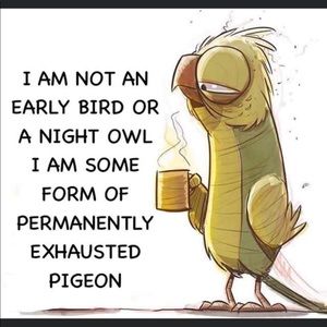 Meet your Posher, George